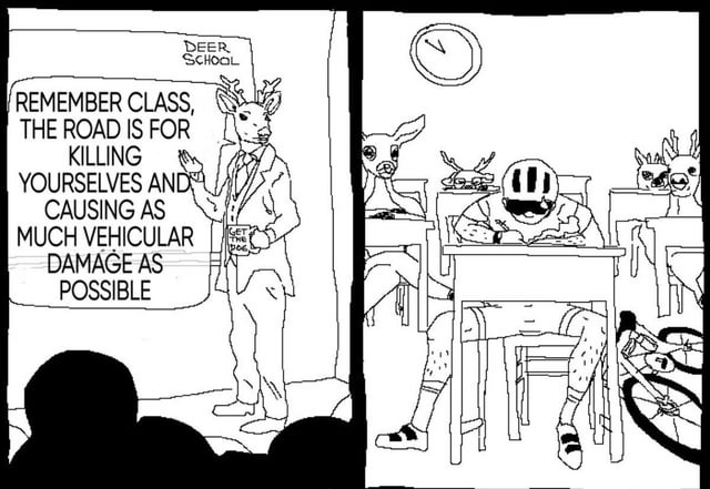This is a two-panel black and white line art webcomic meme. The left panel shows an anthropomorphic deer teacher wearing a suit, standing at the front of a classroom labeled 'DEER SCHOOL' addressing unseen students. His speech bubble reads 'REMEMBER CLASS, THE ROAD IS FOR KILLING YOURSELVES AND CAUSING AS MUCH VEHICULAR DAMAGE AS POSSIBLE', and he holds a mug printed with 'GET THE DOG'. The right panel cuts to the student body in the classroom: multiple young deer sit at their desks, alongside a human cyclist wearing a helmet and cycling gear who is intently taking notes at his desk, with a bicycle propped next to his seat. A wall clock shows the time is just before 11 o'clock. The dark humor joke references the common real-world occurrence of deer wandering onto roads and causing vehicle collisions, with the punchline being the unexpected presence of a cyclist in the deer class, implying cyclists also frequently engage in road behavior that causes accidents and endangers themselves, which is framed as relatable.