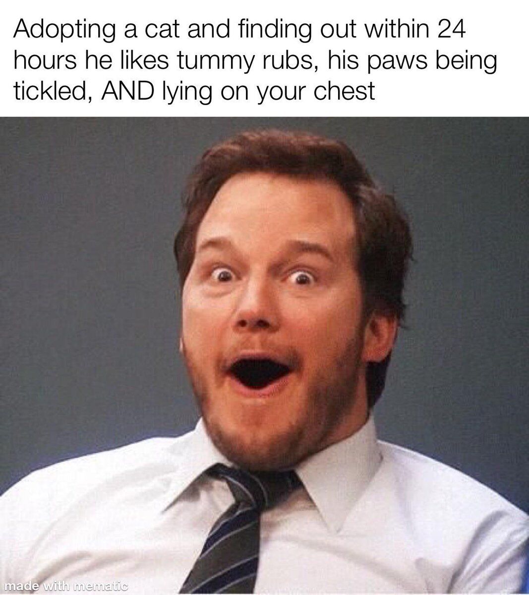 This meme uses a well-known reaction image of actor Chris Pratt (as his character Andy Dwyer from *Parks and Recreation*) with an exaggerated shocked-overjoyed expression. The top text reads: 
> Adopting a cat and finding out within 24 hours he likes tummy rubs, his paws being tickled, AND lying on your chest

It humorously and wholesomely captures the overwhelming positive surprise a new cat owner feels when their adopted pet is immediately affectionate and enjoys physical cuddles—an outcome many pet owners deeply desire. The over-the-top expression perfectly matches the excitement of this pleasant, unexpected pet moment.