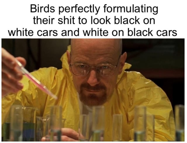 This meme combines a screenshot from the TV show *Breaking Bad* with a humorous text overlay. The top text reads: 'Birds perfectly formulating their shit to look black on white cars and white on black cars,' which jokingly suggests birds intentionally create feces that contrasts with car colors for maximum visibility. The image features Walter White (portrayed by Bryan Cranston) wearing a yellow hazmat suit, holding a pipette over a row of test tubes, evoking a scientific 'formulation' process. This visual ties to the text's joke by framing bird droppings as a deliberate, lab-like creation.