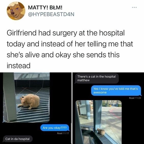 This is a screenshot of a public post from X (formerly Twitter). The post author explains his girlfriend had surgery at a hospital on the day of the post, and instead of texting him first to confirm she is alive and recovering well after the procedure, she only sends him content about a cat she found at the hospital. The post includes screenshots of their text exchange: the poster first asks his girlfriend "Are you okay????", she replies "Cat in da hospital" paired with a photo of an orange cat lying on striped hospital stairs. She then sends a second text reading "There's a cat in the hospital matthew" with another photo of the same cat sitting near the hospital's glass entrance, and the poster replies "Yes i know you've told me that's awesome". The humor derives from the relatable, silly priority the girlfriend places on sharing the cute cat sighting over updating her partner on her own wellbeing after surgery.