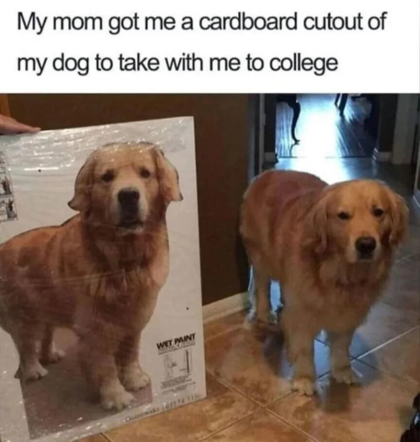 The meme consists of two parts: a top text caption and a photograph below. The caption reads, 'My mom got me a cardboard cutout of my dog to take with me to college.' The photograph shows a person holding a large cardboard cutout of a golden retriever dog, with the real golden retriever standing next to the cutout on a tiled floor. The cutout has a 'WET PAINT' label at the bottom left. The real dog and the cutout bear a strong resemblance, creating a heartwarming scene of a mother's thoughtful gesture to help her child feel connected to their pet while away at college.
