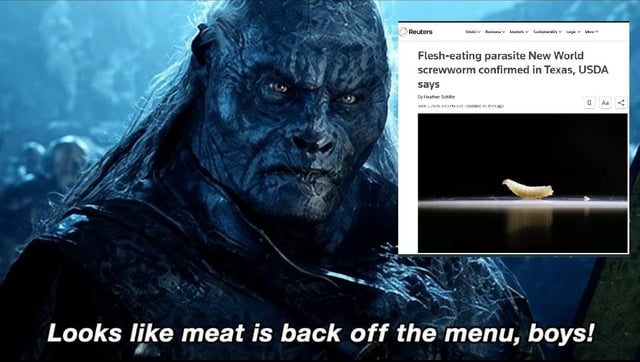 This meme is a collage combining two core elements: a still shot of the Uruk-hai Orc character Uglúk from *The Lord of the Rings: The Two Towers* film, and a screenshot of a Reuters news report headlined 'Flesh-eating parasite New World screwworm confirmed in Texas, USDA says' paired with an image of a screwworm larva. At the bottom of the image, edited text reads 'Looks like meat is back off the menu, boys!', a humorous twist on the character's iconic original line 'Looks like meat's back on the menu, boys!'. The joke functions by contrasting the fictional flesh-eating Orc's usual preference for meat with the real-world health risk of the flesh-eating screwworm parasite, implying even Orcs would avoid eating meat now that the parasite is present in Texas.