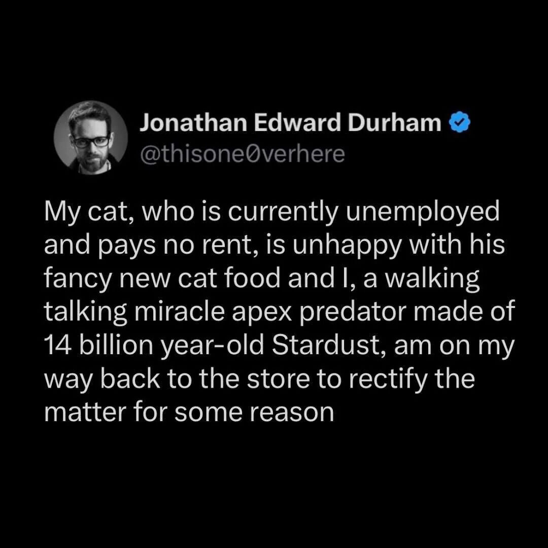 A screenshot of a Twitter/X post from user Jonathan Edward Durham (@thisone0verhere) featuring a humorous complaint about his cat. The tweet contrasts the cat's unemployed, rent-free status with its unhappiness about fancy new cat food, while humorously describing the human as a 'walking talking miracle apex predator made of 14 billion year-old Stardust' who must return to the store to fix the situation.
