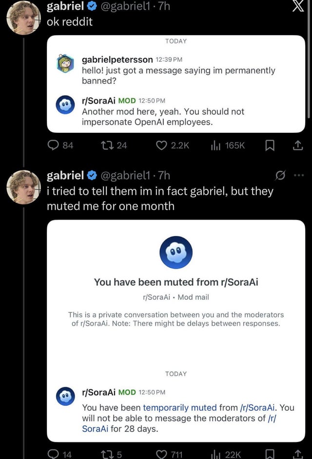 A screenshot of a Twitter/X thread posted by user @gabriel featuring two consecutive posts. The first post includes a screenshot of a conversation with moderators from the Reddit community r/SoraAi, where Gabriel (username gabrielpetersson) inquires about a permanent ban. The mod responds, 'Another mod here, yeah. You should not impersonate OpenAI employees.' This post has 84 comments, 24 retweets, 2.2K likes, and 165K views. The second post by @gabriel states, 'i tried to tell them im in fact gabriel, but they muted me for one month,' accompanied by a screenshot of a mute notification from r/SoraAi mods, which reads, 'You have been muted from r/SoraAi... You will not be able to message the moderators of r/SoraAi for 28 days.' This second post has 14 comments, 5 retweets, 711 likes, and 22K views.