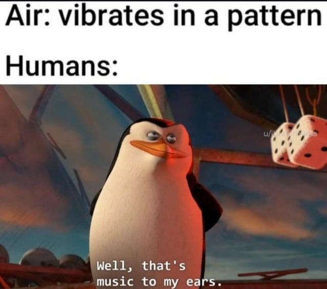 A meme featuring a screenshot of Skipper, the penguin from the Madagascar animated franchise. The top text reads 'Air: vibrates in a pattern' followed by 'Humans:', leading to Skipper standing with a slightly amused and sarcastic expression. The penguin has a subtitle: 'Well, that's music to my ears.' The joke plays on the scientific fact that sound is air vibrating in patterns, framing humans' perception of these vibrations as 'music' through a pun delivered by the character.