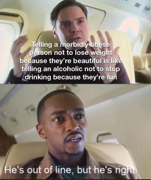 A two-panel meme using screenshots from a movie, likely 'Captain America: Civil War'. The top panel shows a man (inferred as Bucky Barnes) sitting in an airplane seat, gesturing with his hands while speaking. Overlaid text reads: 'Telling a morbidly obese person not to lose weight because they're beautiful is like telling an alcoholic not to stop drinking because they're fun'. The bottom panel shows another man (inferred as Sam Wilson) sitting in an airplane seat, looking upwards with a thoughtful expression. Overlaid text reads: 'He's out of line, but he's right'. The meme presents a controversial comparison between discouraging weight loss for obese individuals (framed as affirming beauty) and discouraging sobriety for alcoholics (framed as affirming fun).