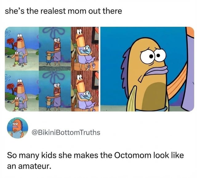 This is a screenshot meme that uses scenes from the animated show *SpongeBob SquarePants* to make a joke about a recurring background fish mom character. The meme shows multiple different scenes where the same fish mom appears with different numbers of child fish, with text at the top reading "she's the realest mom out there" and the tweet body joking that she has so many kids she makes "Octomom" (Nadya Suleman, known for having octuplets) look like an amateur. The right side features a close-up of another concerned SpongeBob background fish as a reaction to this observation.