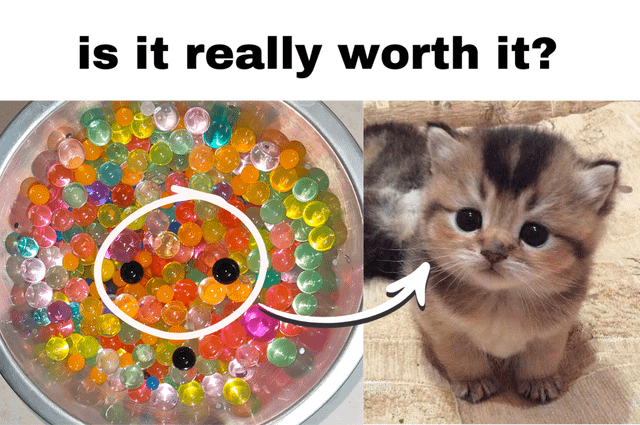 This meme is split into two panels. The left panel shows a bowl full of colorful water beads (Orbeez), with a section circled that contains two black beads and surrounding orange beads forming a pattern that strongly resembles a kitten's face. A white arrow points from this circled pattern to the right panel, which features a real fluffy tabby kitten with large dark eyes that matches the face pattern found in the Orbeez. The text at the very top of the meme reads "is it really worth it?", conveying that the use of Orbeez, which are a major choking and internal blockage hazard for household pets that may ingest them, presents an avoidable risk of harm to animals, tying to the original animal cruelty theme.