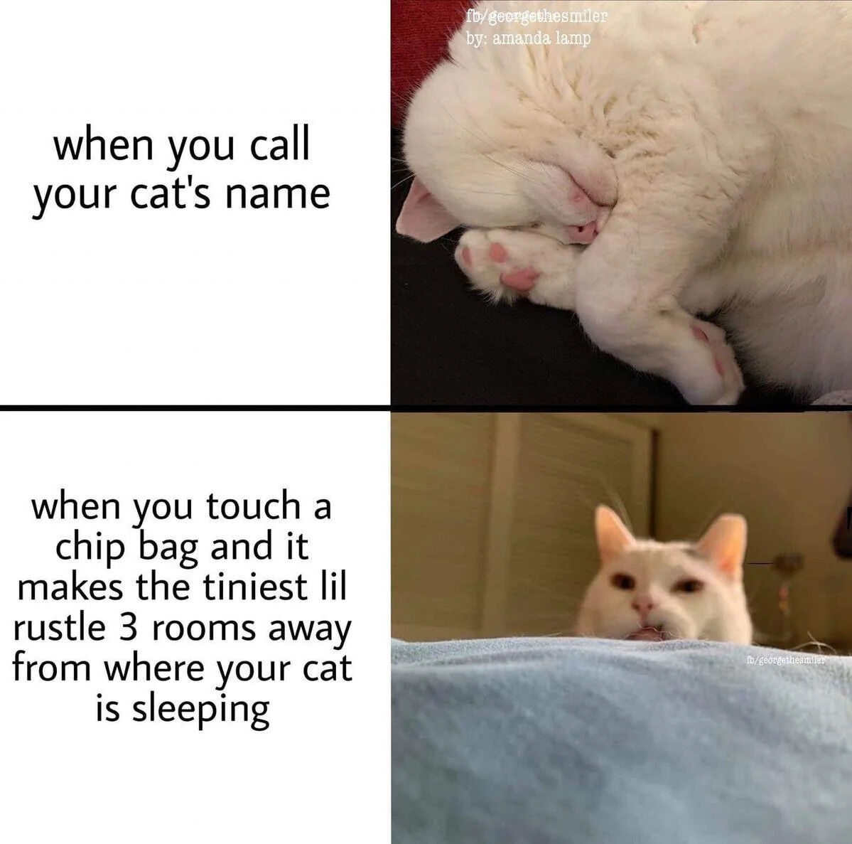 A two-panel meme comparing a cat's reaction when called by name versus when hearing a chip bag rustle. The top panel features text 'when you call your cat's name' paired with an image of a white cat curled up in a deep sleep, paws covering its face, appearing unresponsive. The bottom panel has text 'when you touch a chip bag and it makes the tiniest lil rustle 3 rooms away from where your cat is sleeping' alongside an image of the same (or similar) white cat looking alert, with ears perked, seemingly having heard the rustle despite being far away. The meme humorously highlights cats' selective hearing and their well-known attraction to food-related sounds.