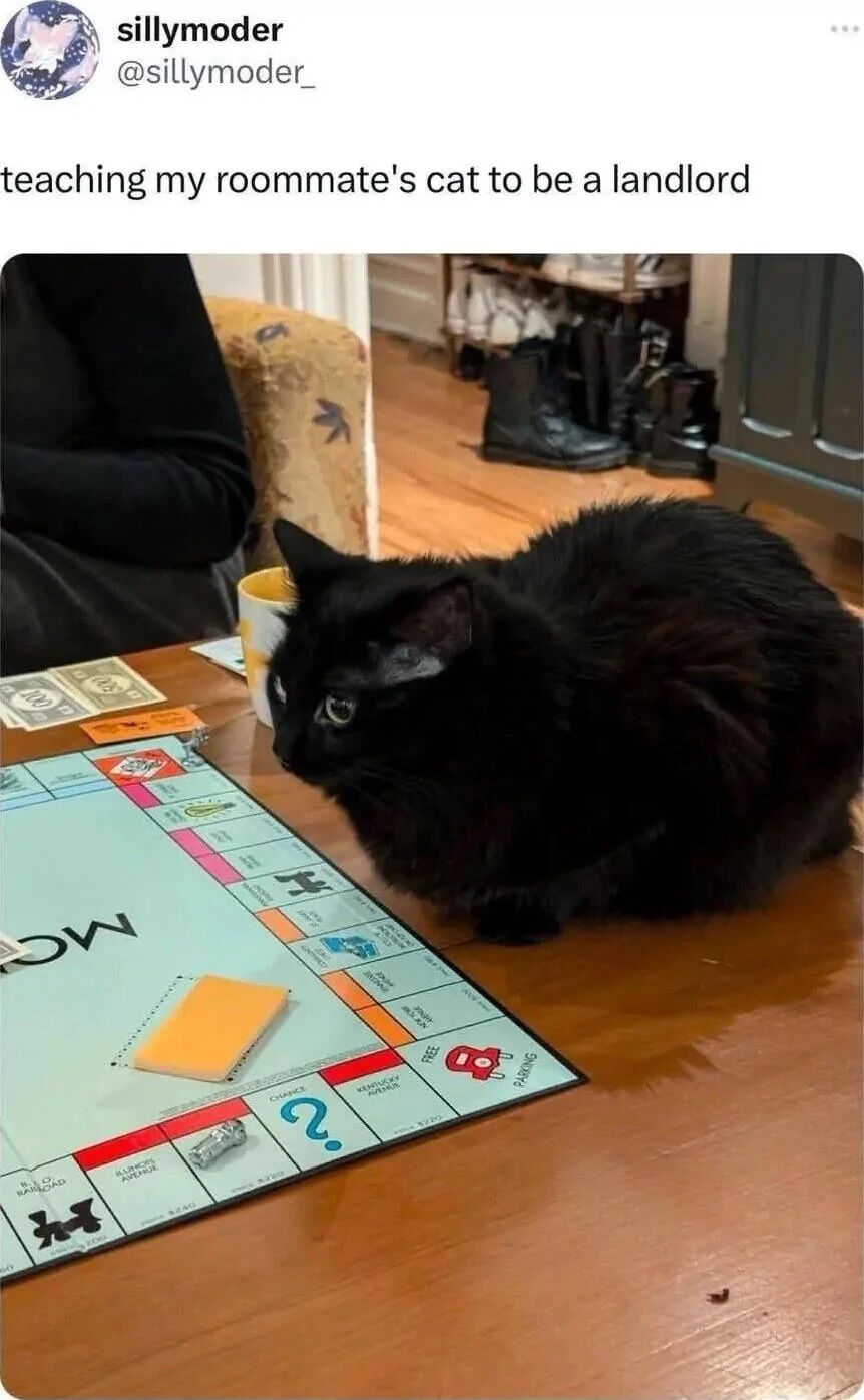 A social media post featuring a black cat sitting on a wooden table next to a Monopoly board game. The cat is positioned near game money and a 'Free Parking' space, appearing to 'study' the board. A person in a black shirt is partially visible on the left, with a yellow and blue patterned chair and a pair of black boots in the background. The post's caption reads 'teaching my roommate's cat to be a landlord,' creating a humorous scenario where the cat is being trained to act like a landlord through playing Monopoly.