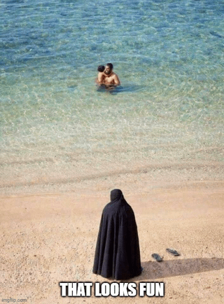A meme depicting a person dressed in a black robe standing on a sandy beach, gazing at two people swimming joyfully in the shallow, clear ocean water. The bottom of the image features the text 'THAT LOOKS FUN' in bold white letters, creating a humorous contrast between the robed individual's stationary, possibly restrained posture and the swimmers' carefree activity. The scene evokes a lighthearted sense of longing or amusement at the simple pleasure of swimming.