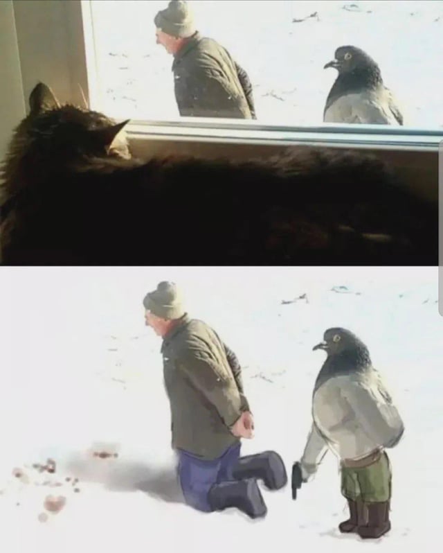 A two-panel meme. Top panel: A black cat lies by a window, looking outside at a man standing in a snowy landscape with a pigeon nearby. Bottom panel: The scene continues with the man now kneeling in the snow, while the pigeon is anthropomorphized—wearing a jacket, green pants, and holding a gun, appearing to confront the man.
