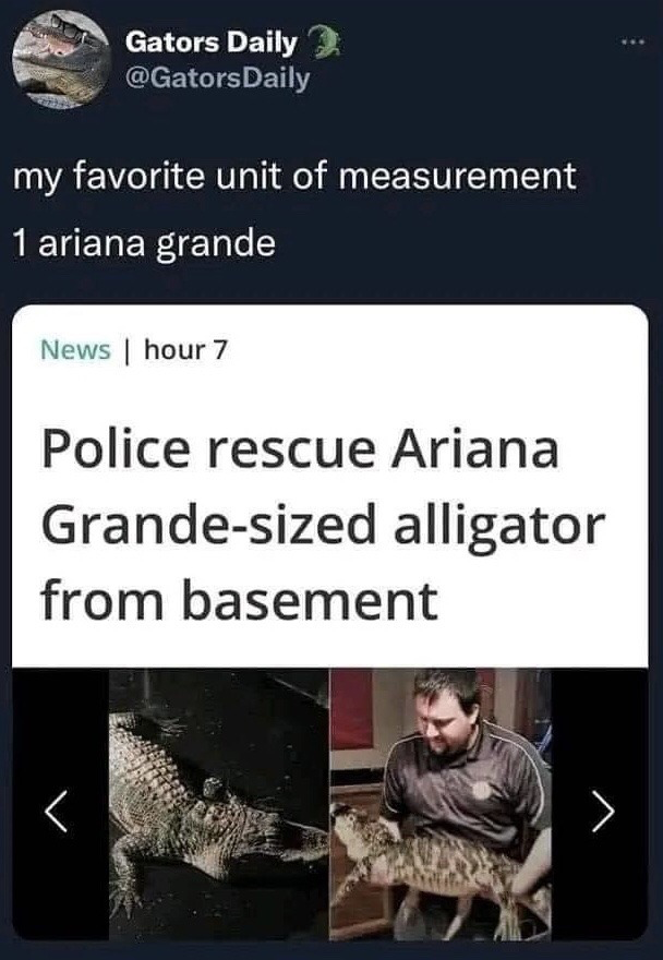 This meme is a screenshot of a post from the X account Gators Daily. The post opens with a joke stating the author's favorite unit of measurement is "1 Ariana Grande". It is followed by a real news headline that reports police rescued an alligator the size of singer Ariana Grande from a residential basement, paired with two images: one of the alligator alone in the basement, and another of an officer holding the alligator to show its size. The humor comes from the news outlet using Ariana Grande as a relatable, informal size descriptor, effectively framing the celebrity as a standard unit of measurement for small to medium sized alligators.