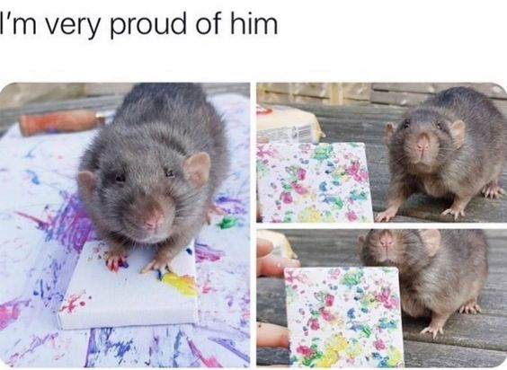 A collage of three images centered around a gray rat engaging in artistic activity, with the top text reading 'I'm very proud of him'. The left image shows the rat standing on a larger canvas covered in purple, pink, and blue paint splatters, with a paintbrush visible in the background. The middle image is a close-up of a small square canvas featuring vibrant, multicolored (pink, green, yellow) splatter patterns resembling abstract art. The right image depicts the rat standing on a wooden surface next to the small canvas, which is being held by a human hand, looking directly at the camera with a calm demeanor. The meme conveys a warm, wholesome sentiment of pride in the rat's creative 'achievement'.