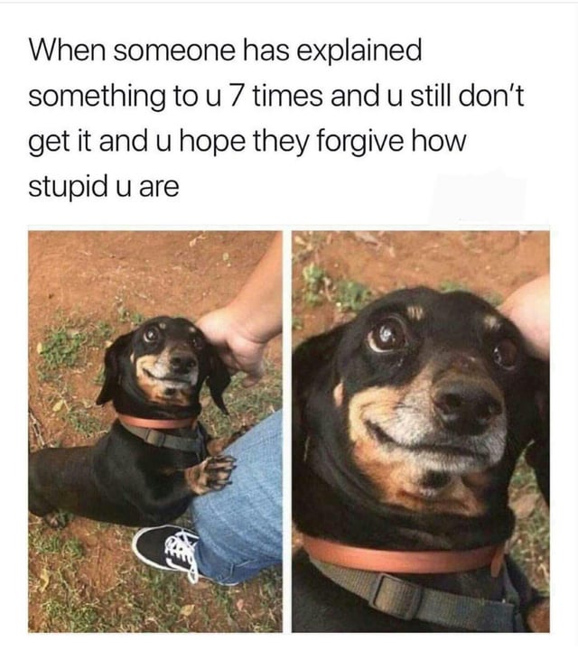 A meme consisting of a top text caption and two side-by-side images of a black and tan dachshund dog. The top text reads: 'When someone has explained something to u 7 times and u still don't get it and u hope they forgive how stupid u are'. The first image shows the dachshund sitting on dirt with sparse grass, placing its front paws on a person's leg (wearing blue jeans and black sneakers), looking up with a hopeful expression. The second image is a close-up of the dog's face, emphasizing its wide, pleading eyes and slightly upturned mouth, reinforcing the 'hopeful forgiveness' sentiment. The meme humorously captures the relatable feeling of embarrassment and desire for understanding after repeatedly failing to grasp an explanation.