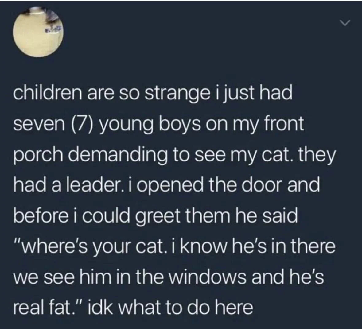 A screenshot of a user-generated social media post recounting a humorous and wholesome real-life anecdote. The post describes an encounter where seven young boys, led by a self-appointed leader, gathered on the poster's front porch and demanded to see their cat. The leader bluntly stated they had seen the cat through the window and described it as 'real fat,' prompting the poster to express amusement and confusion with 'idk what to do here.'
