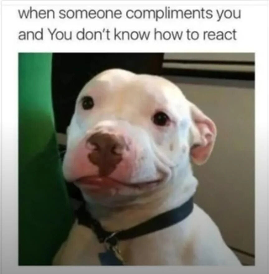 A meme featuring a top text caption that reads 'when someone compliments you and You don’t know how to react' above a photograph of a white dog. The dog has a distinctive appearance with a pink nose, scattered dark spots on its face, and a black collar. Its expression is a mix of confusion and a slight smile, with ears slightly flopped and eyes looking directly at the camera. The background includes a green object on the left and neutral-colored walls, creating a casual indoor setting. The image humorously captures the awkward, unsure reaction many people feel when receiving compliments, personified through the dog's endearing expression.