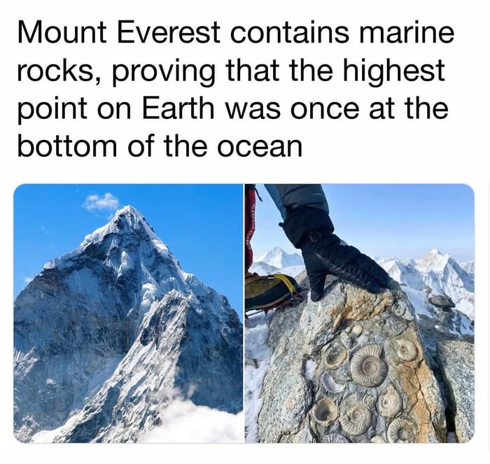 This meme is an informative collage that shares a surprising geological fact about Mount Everest. The top text states: *Mount Everest contains marine rocks, proving that the highest point on Earth was once at the bottom of the ocean*. The left side of the image shows the iconic snow-covered peak of Mount Everest against a clear blue sky, while the right side displays a close-up of a rock embedded with ammonite fossils (ancient marine creatures), held by a gloved hand, likely taken on or near Everest. This fact highlights the power of plate tectonics, as the Himalayan mountain range (including Everest) was formed by the collision of tectonic plates, lifting what was once an ocean seabed to become the world's highest peak. The meme aims to evoke a 'mind blown' reaction in viewers by sharing a counterintuitive, educational science fact.