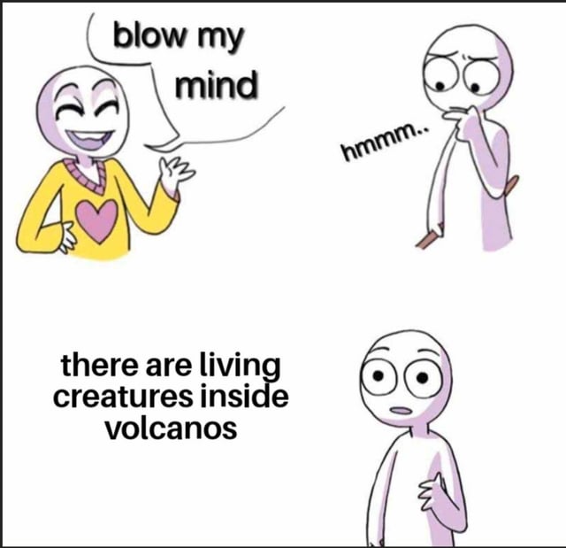 This is a simple three-panel comic meme that shares a surprising scientific fact. In the first panel, a happy grinning simplified stick figure in a yellow sweater asks for a mind blowing fact, saying 'blow my mind'. The second panel shows another figure pausing to think, indicated by the text 'hmmmm..'. The third panel reveals the fact: 'there are living creatures inside volcanos', with a third stick figure looking shocked at this surprising information. The joke plays on how this true fact (that extremophile micro-organisms can survive the extreme hot environment inside volcanoes) is unexpected and hard to believe for most people hearing it for the first time.