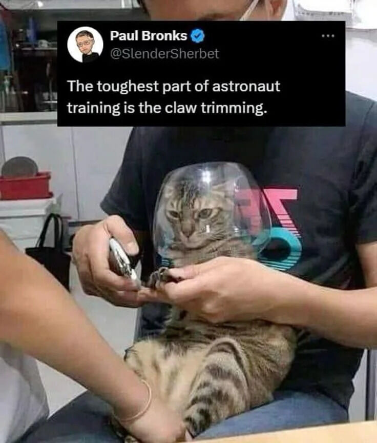 A photograph of a tabby cat wearing a clear plastic cone (resembling an astronaut's helmet) being held by a person who is using nail clippers to trim the cat's claws. Overlaid on the top left is a tweet from Paul Bronks (@SlenderSherbet) with the text: "The toughest part of astronaut training is the claw trimming." The cat has a slightly annoyed or resigned expression, and the person is focused on trimming the claws. The background appears to be a kitchen or utility area with shelves and a red container.