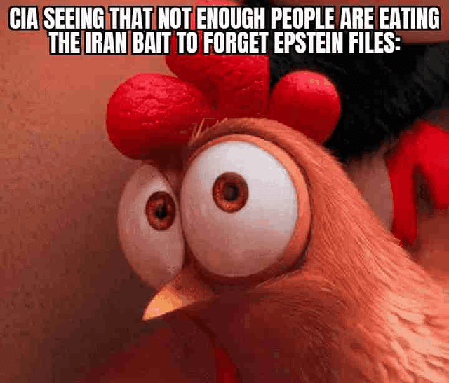 This political satire meme uses the iconic wide-eyed, shocked expression of Heihei, the comically dim chicken from Disney's *Moana*, to mock the alleged panic of the CIA. The overlaid text reads: 'CIA SEEING THAT NOT ENOUGH PEOPLE ARE EATING THE IRAN BAIT TO FORGET EPSTEIN FILES:'. The meme leans into a common conspiracy theory framework, suggesting that government entities use geopolitical 'bait' (like tensions with Iran) to shift public focus away from high-profile, controversial stories such as the Jeffrey Epstein files. The absurdity of using a silly animated chicken to represent a powerful intelligence agency amplifies the satirical tone, highlighting the perceived desperation of the supposed distraction attempt failing.