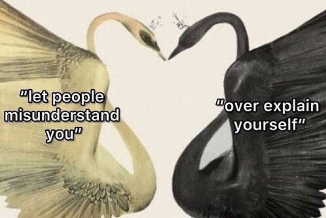 The meme uses an illustration of two opposing groups of swans squaring off dramatically to represent a common internal social dilemma. The left group of white swans is labeled with the phrase "let people misunderstand you", representing the laid-back mindset of not wasting energy correcting others' wrong impressions of you. The right group of black swans is labeled "over explain yourself", representing the anxious urge to clarify every detail of your actions or personality to avoid being misjudged. The humor comes from framing this relatable everyday internal conflict as an intense, high-stakes fight between two opposing sides.