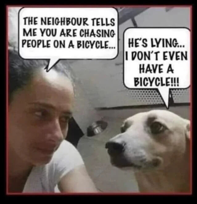 A meme featuring a woman and a dog in an indoor setting, each with a speech bubble. The woman, appearing skeptical, says, 'THE NEIGHBOUR TELLS ME YOU ARE CHASING PEOPLE ON A BICYCLE...' The dog responds defensively, 'HE'S LYING... I DON'T EVEN HAVE A BICYCLE!!!' The humor stems from anthropomorphizing the dog, framing it as a culprit denying an accusation with a logical (but absurd) defense, creating a playful and relatable scenario about pet mischief.
