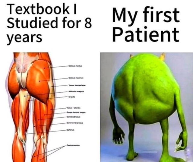 A two-panel meme contrasting academic study with real-world experience. The left panel shows a detailed anatomical diagram of human leg muscles labeled with scientific terms, accompanied by the text 'Textbook I Studied for 8 years'. The right panel features the animated character Shrek from the rear view, with the text 'My first Patient'. The humor arises from the absurd contrast between the rigorous, detailed textbook education and the unexpected, fantastical 'first patient' (Shrek), mocking the gap between theoretical study and real-life scenarios.