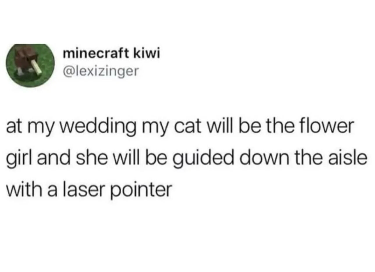 This is a screenshot of a humorous wholesome X (Twitter) post that shares a cute, relatable wedding plan for cat owners. The poster states that at their future wedding, their cat will act as the flower girl, and they will guide the cat down the aisle using a laser pointer. The joke plays on the well-known fact that cats are obsessed with chasing laser pointer dots, so this is the perfect way to get the cat to follow the desired path, which is both funny and endearing.