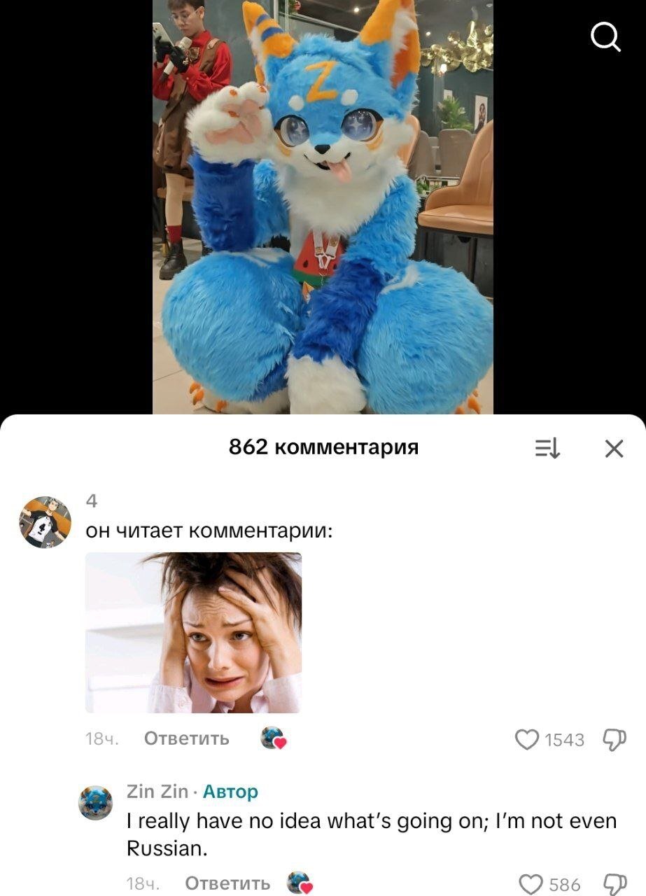 The image is a screenshot from a social media platform (likely X.com) featuring two main parts. The top section shows a blue anthropomorphic fox fursuit with orange ears, a white belly, and a 'Z' symbol on its forehead. The fursuit character is sitting, waving with its right paw, and has a playful expression with its tongue sticking out and large, starry eyes. In the background, a person in a red outfit holds a camera, possibly recording or photographing the fursuiter. The bottom section displays a comment thread: a top comment in Russian reads 'Он читает комментарии:' (translated: 'He is reading the comments:') accompanied by an image of a distressed woman holding her head. Below this, the post author 'Zin Zin' responds in English: 'I really have no idea what's going on; I'm not even Russian.' The comment has 1543 likes.