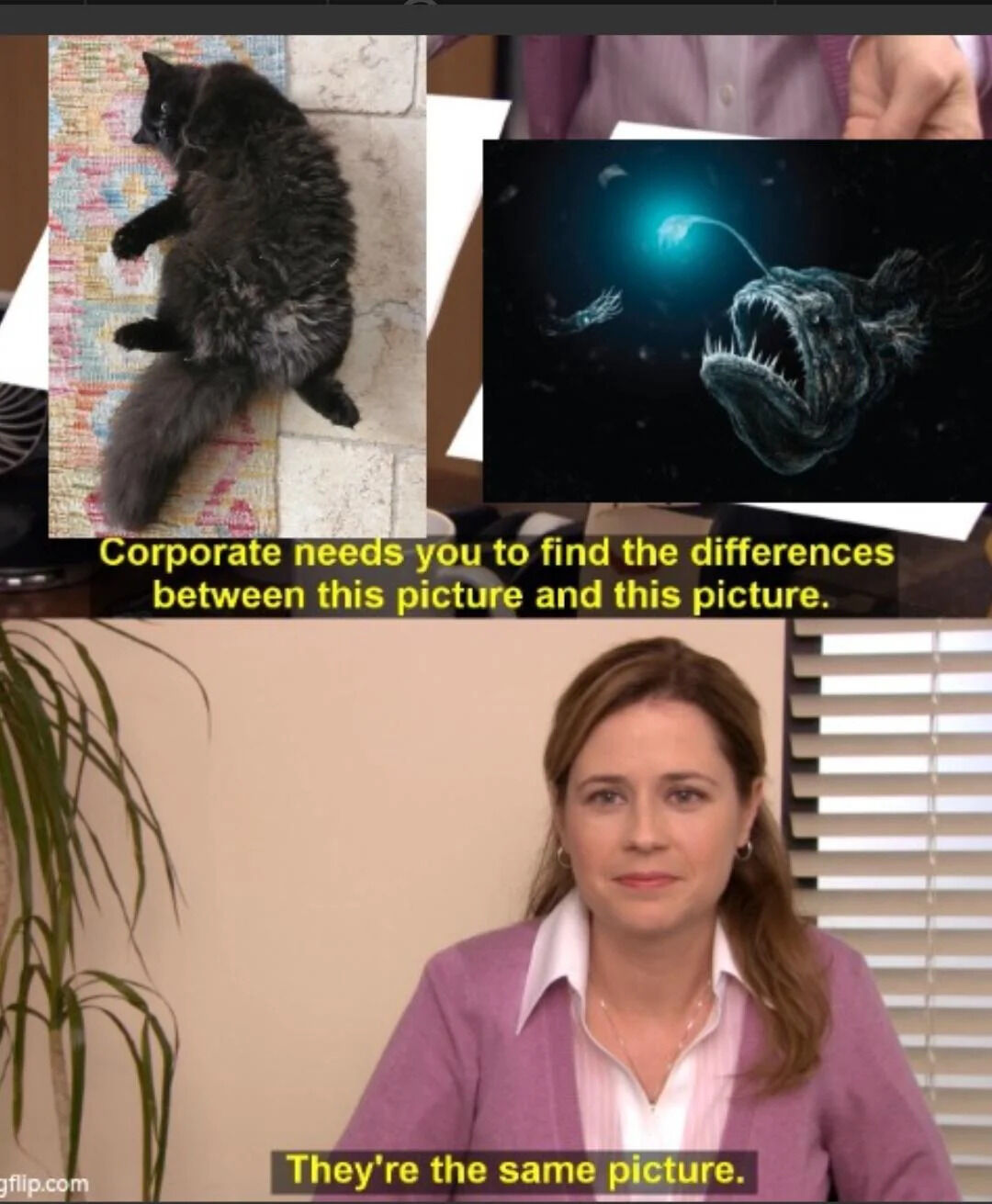 A meme based on a scene from the American TV series 'The Office' featuring a character (likely Pam Beesly) sitting at a desk. Two images are displayed above her: one of a black cat lying on a textured, multicolored surface with a stone background, and another of a menacing deep-sea anglerfish with sharp teeth and a glowing bioluminescent lure in a dark underwater environment. The text overlay reads 'Corporate needs you to find the differences between this picture and this picture.' followed by the character's deadpan response 'They're the same picture.' The humor stems from the absurdity of equating a cute domestic cat with a fearsome deep-sea creature, mocking trivial or nonsensical comparisons often encountered in corporate settings.