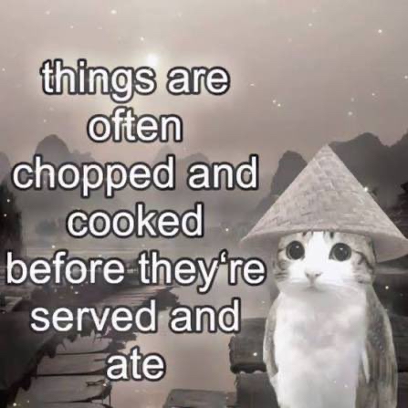The image features a photoshopped grey and white cat wearing a traditional conical Asian straw rice hat positioned on the right side, standing against a muted, foggy East Asian riverscape background with silhouetted mountains and wooden docks. Overlaid text on the left reads "things are often chopped and cooked before they're served and ate". The meme creates humor through juxtaposition: it frames an extremely obvious, mundane fact about food preparation as if it is profound philosophical wisdom delivered by the serene, wise-looking cat.