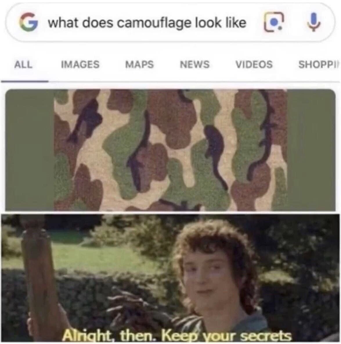 This is a two-panel comedy meme. The top panel shows a Google search for the query 'what does camouflage look like', with the first image result being a standard woodland camouflage pattern that perfectly matches the muted olive and brown color palette of the search result container, making it appear almost invisible or hidden, playing on the core function of camouflage to blend into surroundings. The bottom panel uses a well-known still from *The Lord of the Rings* film series featuring the character Frodo Baggins, with the subtitle 'Alright, then. Keep your secrets' to sarcastically react to the technically correct but unhelpful, seemingly hidden search result.
