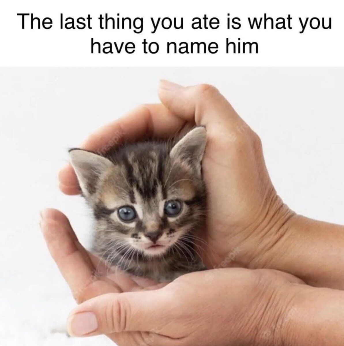 The meme features an extremely small tabby kitten with large blue eyes, held gently in the cupped palms of two human hands against a plain white background. Text at the top of the image gives viewers a playful interactive prompt: they must give the kitten a name that matches whatever the last food item they ate was, inviting audiences to share their often silly or unexpected resulting kitten names in discussions of the post.