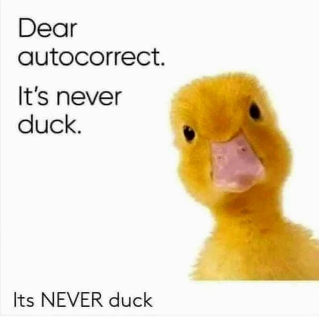 This meme pairs a photo of a fluffy yellow baby duckling on the right side with text complaining about smartphone autocorrect on the left. The joke is a vulgar pun: the creator almost certainly meant to type the swear word 'fuck' when typing, but autocorrect kept automatically changing it to the innocuous word 'duck'. The text reads 'Dear autocorrect. It's never duck. Its NEVER duck', repeating the complaint that autocorrect is wrong, and the inclusion of the actual duckling image emphasizes the pun for comedic effect.