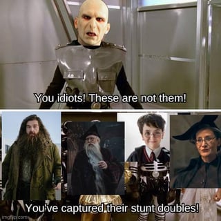 This two-panel comedy meme jokes about low-effort, poorly made Harry Potter cosplay costumes. The top panel shows a Voldemort cosplayer angrily shouting the line 'You idiots! These are not them!'. The bottom panel displays four very loose lookalikes/costumes meant to be Hagrid, Dumbledore, Harry Potter, and Minerva McGonagall, with the punchline text 'You've captured their stunt doubles!'. The humor comes from mocking how cheap and unconvincing the costumes are, as they barely resemble the actual characters, framing them as mere stunt doubles instead of the real characters.