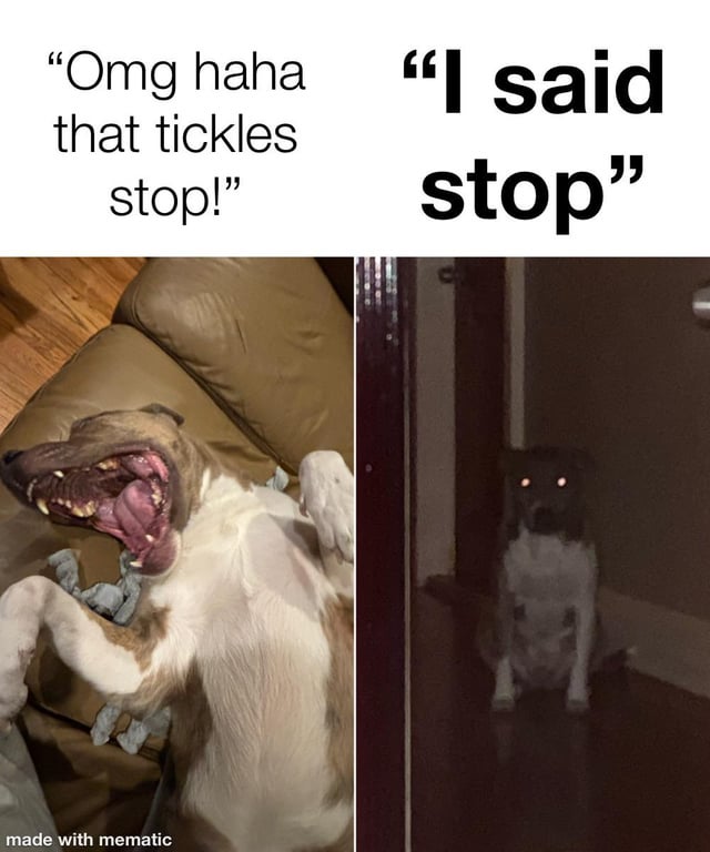 A two-panel meme featuring two dogs displaying contrasting reactions to the phrase 'stop'. The left panel shows a dog lying on its back on a brown leather couch, with its mouth wide open in a playful, laughing expression, paws raised as if being tickled. Above this panel is the caption: 'Omg haha that tickles stop!'. The right panel depicts a dog sitting in a dimly lit doorway, with its eyes appearing to glow eerily in the dark, creating a more menacing demeanor. The caption above this panel reads: 'I said stop'. The bottom left corner of the image contains the watermark 'made with mematic'.