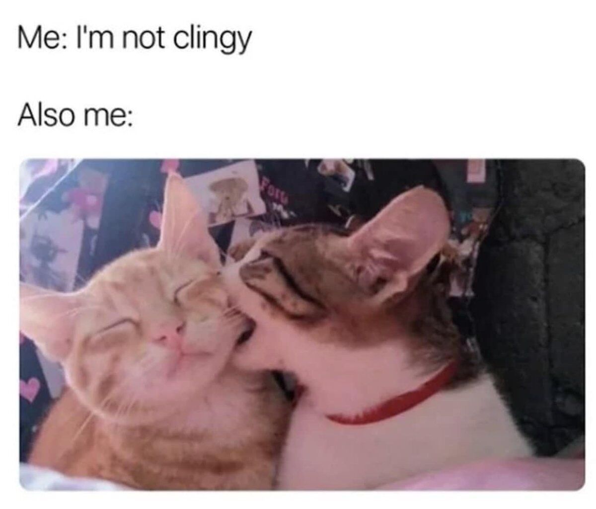 This is a relatable two-part meme. The top text reads "Me: I'm not clingy", followed by "Also me:" above a photograph of two cats. In the photo, a brown tabby cat with a red collar is licking and nuzzling the face of a relaxed orange tabby cat that has its eyes closed, looking extremely affectionate and clingy. The joke highlights the common relatable contradiction of people claiming they are not clingy in relationships, but actually being very physically affectionate and attached to their loved ones.