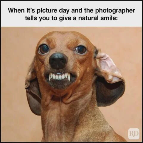 A wholesome meme featuring a close-up photograph of a brown dachshund dog. The top of the image contains a caption: 'When it's picture day and the photographer tells you to give a natural smile:'. Below the caption, the dog is shown with an exaggerated, almost forced smile, displaying its teeth, wide eyes, and perked ears, creating a humorous contrast between the instruction to 'smile naturally' and the dog's awkward, over-the-top expression. The background is a plain beige color, keeping focus on the dog. A small watermark 'RD' is visible in the bottom right corner of the image.