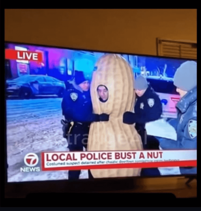 This is a screenshot of a television displaying a live local 7 News broadcast. The footage shows two uniformed police officers detaining a person wearing a full peanut mascot costume on a snowy street at night, with police cars with flashing lights visible in the background. The news broadcast's chyron prominently reads "LOCAL POLICE BUST A NUT", with smaller subtext noting a costumed suspect was detained. The humor comes from the accidental double entendre: the phrase "bust a nut" is common vulgar slang for male ejaculation, while it is used literally here to describe police arresting (busting) a person dressed as a nut (peanut).