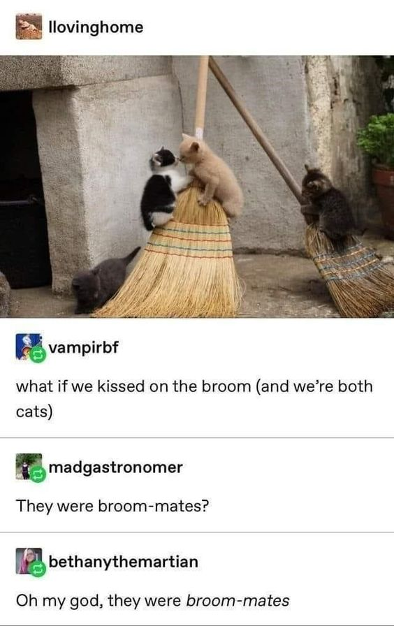 The image is a screenshot from X.com (formerly Twitter) featuring a wholesome photo of four kittens interacting with straw brooms. At the top, the original post by user 'llovinghome' shows three kittens: two (one black-and-white, one orange) sitting on one broom, appearing to nuzzle, a gray kitten clinging to another broom, and a fourth gray kitten walking on the ground nearby. Below the photo are three user comments: 'vampirbf' asks, 'what if we kissed on the broom (and we're both cats)'; 'madgastronomer' jokes, 'They were broom-mates?'; and 'bethanythemartian' responds, 'Oh my god, they were broom-mates'—a pun on 'roommates' using 'broom' to reference the kittens' location.