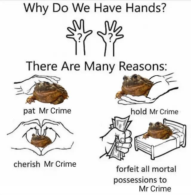 This absurdist meme opens with the question 'Why Do We Have Hands?' accompanied by two line drawings of hands with question marks on their palms. It then lists four escalating, humorous reasons all centered around a round brown toad nicknamed 'Mr Crime': 1) Pat Mr Crime, showing a hand petting the toad, 2) Hold Mr Crime, showing hands cupping the toad, 3) Cherish Mr Crime, showing hands forming a heart shape around the toad, and 4) Forfeit all mortal possessions to Mr Crime, showing a hand holding a stack of cash next to the toad sitting on a bed, implying you must give all your belongings to the toad. The joke comes from the absurd, increasingly extreme level of devotion expected for the randomly named silly animal character.