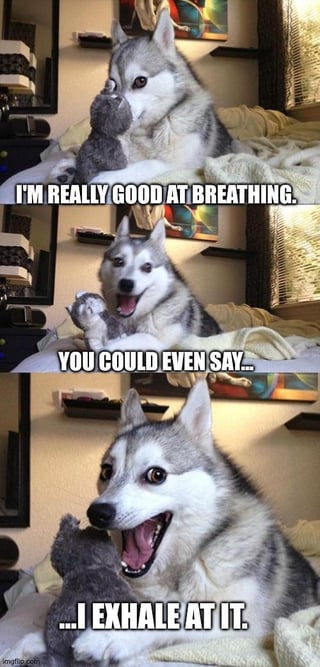 A three-panel meme featuring a real Husky dog in a bedroom. Panel 1: Husky lies on a bed, holding a small gray toy, with text 'I'M REALLY GOOD AT BREATHING.' Panel 2: Husky sits up, mouth open excitedly, text 'YOU COULD EVEN SAY...' Panel 3: Husky leans forward, mouth wide open (implied choking), text '...I EXHALE AT IT.' The joke mocks overconfidence in a basic skill (breathing) followed by a humorous failure, referencing the original title's 'chokes on own spit' context.