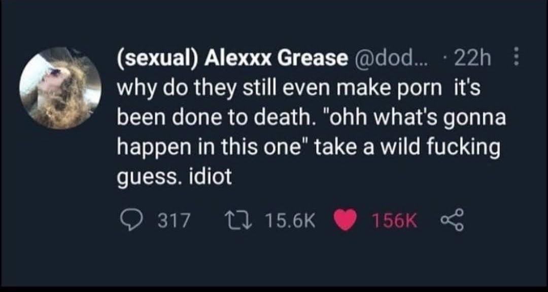 This image is a screenshot of a viral tweet from X (formerly Twitter). The tweet is posted by user Alexxx Grease, whose display name has the descriptor (sexual) added in parentheses, which matches his blurry profile picture that appears to be a suggestive close-up. The tweet rants that all porn content is completely overdone at this point, mocking people who get excited wondering what will happen in a new porn video. It sarcastically tells people who ask this to take a wild fucking guess, and calls them idiots. The screenshot shows the tweet's engagement metrics: 317 comments, 15.6 thousand retweets, and 156 thousand likes, confirming it was a very popular viral post.
