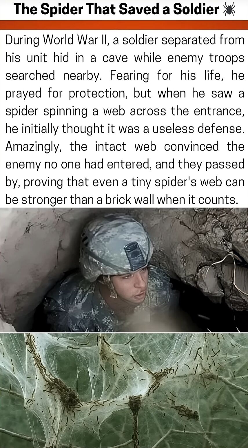 A wholesome meme structured with a title, narrative text, and two images. The title reads 'The Spider That Saved a Soldier 🕷️'. Below the title is a text passage describing a World War II scenario: a soldier separated from his unit hides in a cave as enemy troops search nearby. He prays for protection, notices a spider spinning a web at the cave entrance (initially dismissing it), but the intact web later convinces enemies no one entered, saving him. The meme includes two images: the top image shows a soldier in military uniform (camouflage helmet and attire) hiding in a cave, looking cautious; the bottom image is a close-up of a spider web. The overall message highlights unexpected help and the significance of small, seemingly insignificant things.