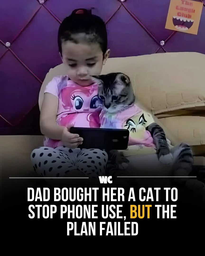 A heartwarming photograph of a young child sitting on a beige couch against a purple tufted wall backdrop. The child is wearing a pink shirt featuring a My Little Pony character and black polka-dotted pants, holding a black smartphone with both hands. Next to the child sits a tabby cat dressed in a colorful shirt with a cartoon face design, both intently looking at the phone screen. A text overlay at the bottom reads: 'DAD BOUGHT HER A CAT TO STOP PHONE USE, BUT THE PLAN FAILED,' humorously highlighting that the cat has not distracted the child from phone use but instead joined in, making the dad's plan unsuccessful.