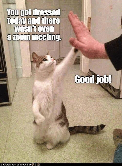A cat with white and gray fur stands on its hind legs in a kitchen or hallway, raising its front paw to high-five a human hand. The cat has a happy, upward-looking expression and a striped tail. Text overlay at the top reads 'You got dressed today and there wasn't even a zoom meeting.' and at the bottom right 'Good job!'. A watermark 'ICANHASCHEEZBURGER.COM' is visible at the bottom left. The meme humorously celebrates the small achievement of dressing up without the motivation of a Zoom meeting, leveraging the cat's cute high-five gesture to convey lighthearted encouragement.
