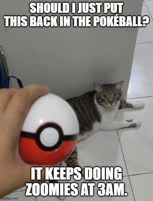 The image is a relatable pet meme featuring a first-person perspective of a person holding a replica Pokeball from the Pokemon franchise, pointed toward a tabby and white domestic cat lying on a white tiled floor against a plain wall. The top overlaid text asks "SHOULD I JUST PUT THIS BACK IN THE POKÉBALL?" and the bottom text gives the reason: "IT KEEPS DOING ZOOMIES AT 3AM." The joke frames the common cat behavior of late-night hyperactive running (colloquially called zoomies) as misbehavior from a captured Pokemon that the owner wants to contain by returning it to its Pokeball, leaning into Pokemon franchise lore for humorous, relatable pet owner content.