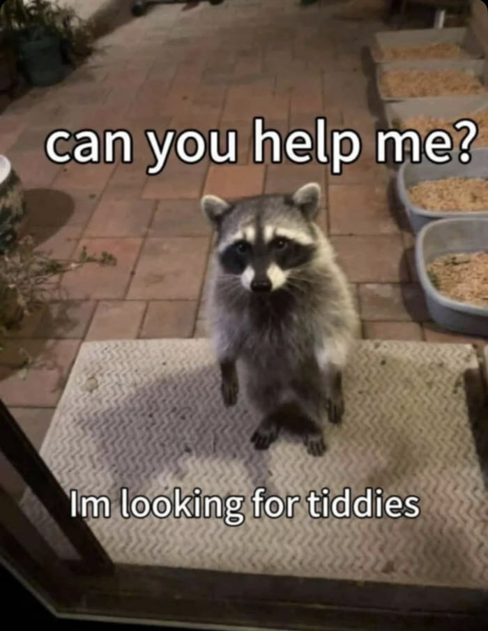 The image shows a wild raccoon standing upright on a textured outdoor doormat, looking directly at the camera with a seemingly innocent, earnest expression. To the right of the raccoon, multiple plastic pet food bowls filled with dry kibble are lined up on the red tiled patio. Overlaid text is placed at the top and bottom of the image: the top text reads 'can you help me?', while the bottom punchline text reads 'Im looking for tiddies'. The humor comes from the contrast between the raccoon's polite opening request and the unexpectedly crude, absurd goal it states, framing the animal as a cheeky, forward 'smooth criminal' as per the original title.
