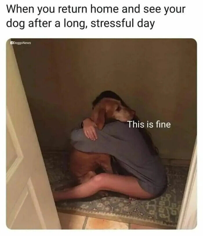 A photograph depicting a person sitting on the floor in a corner, embracing a brown dog. The top text sets the context: 'When you return home and see your dog after a long, stressful day,' while the overlaid text 'This is fine' (a reference to the popular meme phrase) appears on the image. The scene conveys a sense of comfort and relief, highlighting the emotional bond between humans and pets. A watermark '@DogoNews' is visible in the top left corner.